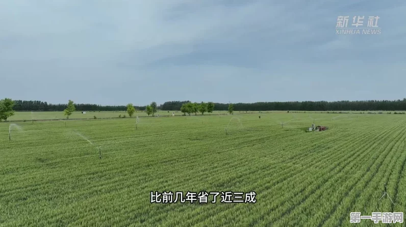 滨州邹平数智农业引领三夏新风尚，丰收画卷徐徐展开🌾