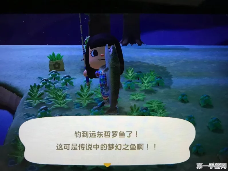 摩尔拉雅山黑夜垂钓指南，解锁神秘鱼类🐟