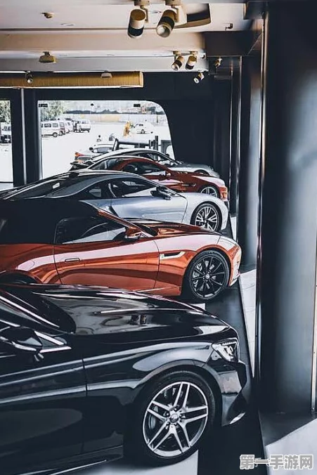 豪车不谈性价比，只谈个性与激情！🚗✨
